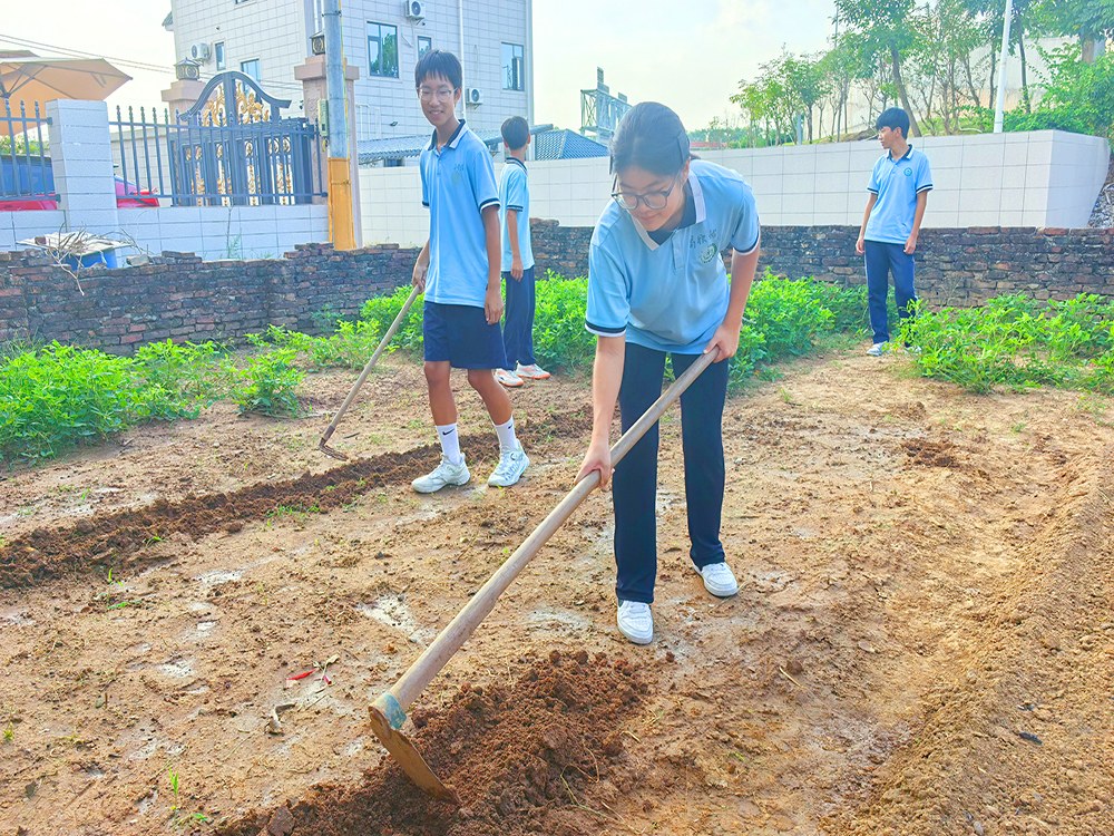 玉树封闭式青少年教育学校怎么选?2026测评推荐